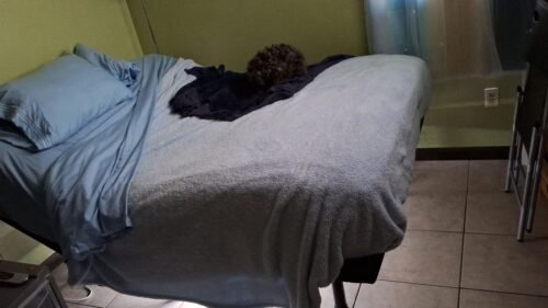 Queen Size 4 Piece Sheet Set - Comfy Breathable & Cooling Bed Sheets Set - Hotel Luxury Bedding for Women. Men. Kids. Teens. Boys & Girls - Deep Pockets. Soft and Wrinkle Free - Oeko-Tex - Dark Grey photo review