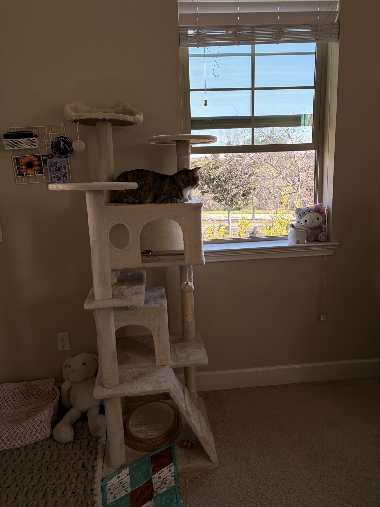 Yaheetech 54in Cat Tree. Multi-Level Cat Tower with Spacious Kitten-ear Perch. 2 Cozy Caves. Scratching Posts. Climbing Ladder. 2 Plush Balls. Durable Pet House Furniture for Indoor Kittens. Dark Gray photo review