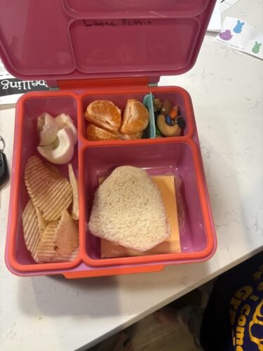 Omie OmieBox Bento Box for Kids - Insulated Lunch Box with Leak Proof Food Jar - 3 Compartments. 2 Temperature Zones - (Meadow) photo review