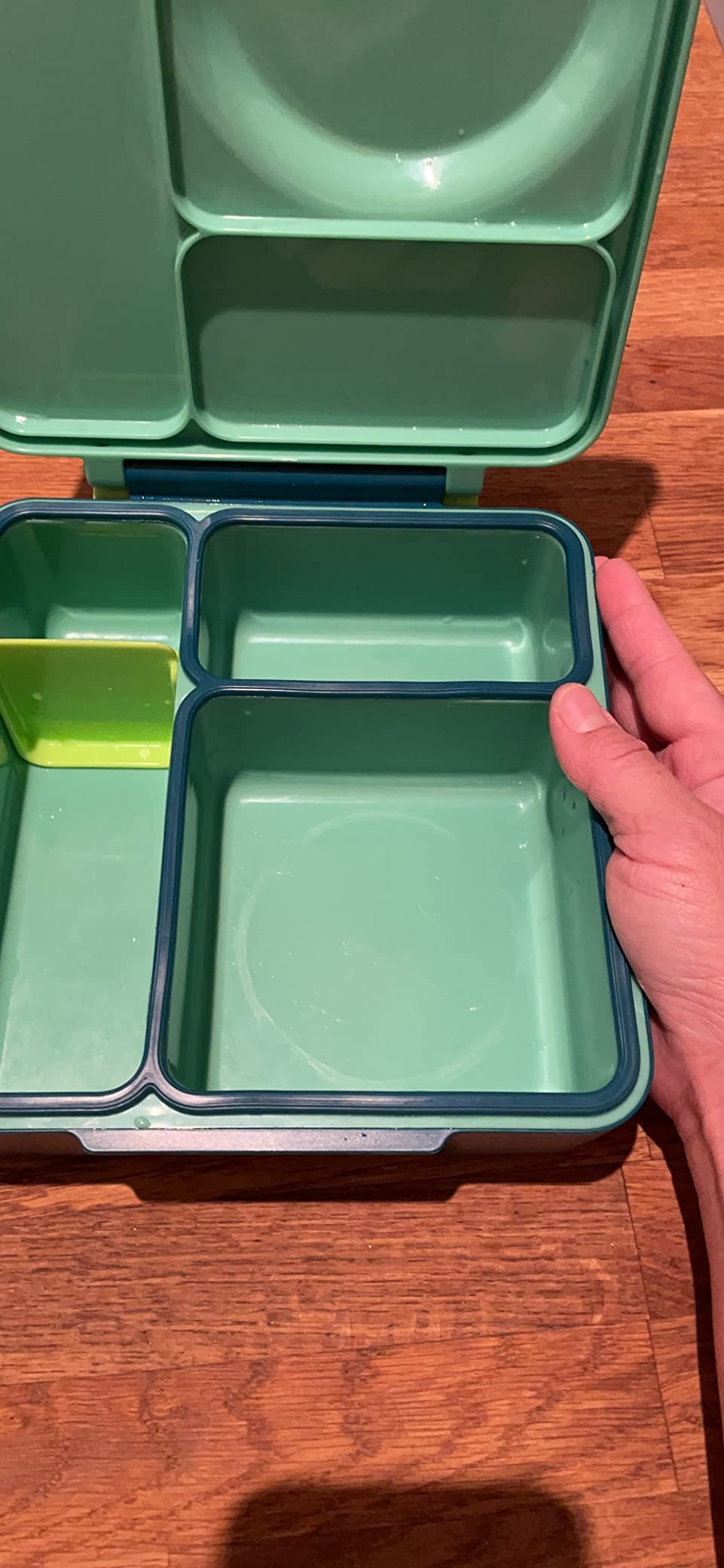 Omie OmieBox Bento Box for Kids - Insulated Lunch Box with Leak Proof Food Jar - 3 Compartments. 2 Temperature Zones - (Meadow) photo review