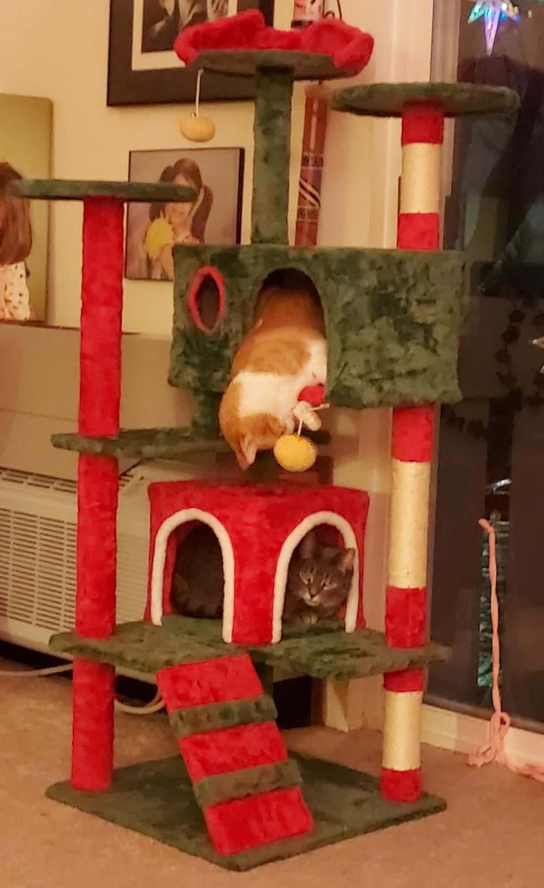 Yaheetech 54in Cat Tree. Multi-Level Cat Tower with Spacious Kitten-ear Perch. 2 Cozy Caves. Scratching Posts. Climbing Ladder. 2 Plush Balls. Durable Pet House Furniture for Indoor Kittens. Dark Gray photo review