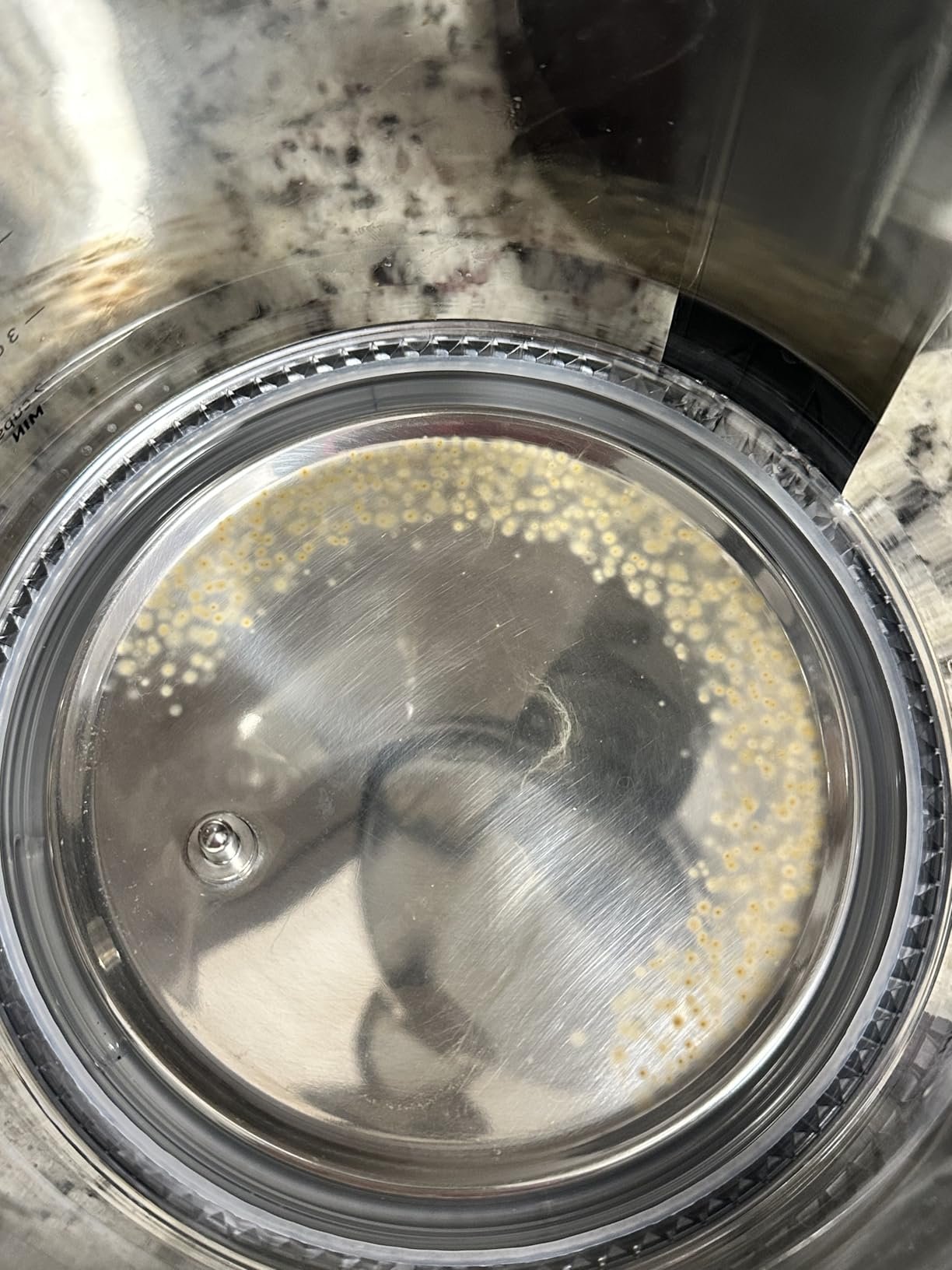 Cosori Electric Kettle. No Plastic Contact With Water. Wide Mouth For Easy Cleaning. Auto Shut Off. 1.7L Tea Kettle & Hot Water Boiler. Water Heater & Teapot. Borosilicate Glass. Black. 1500W photo review