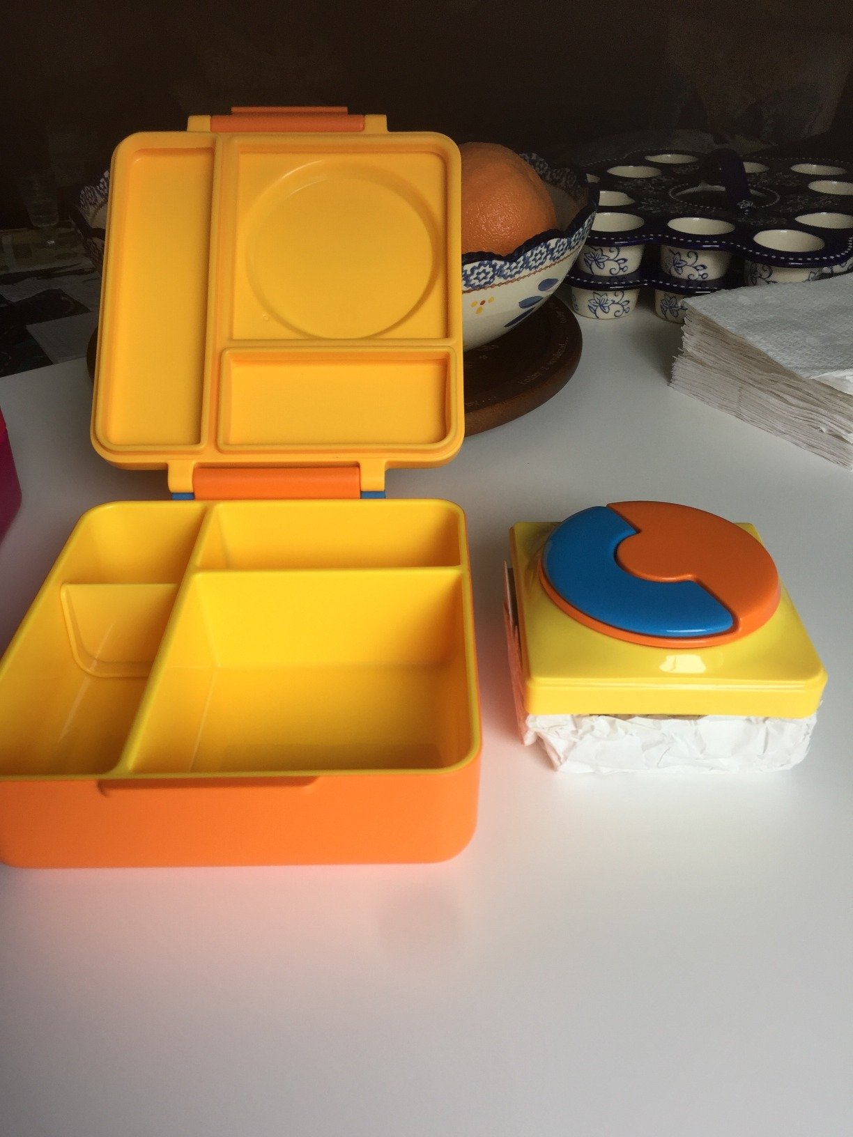 Omie OmieBox Bento Box for Kids - Insulated Lunch Box with Leak Proof Food Jar - 3 Compartments. 2 Temperature Zones - (Meadow) photo review