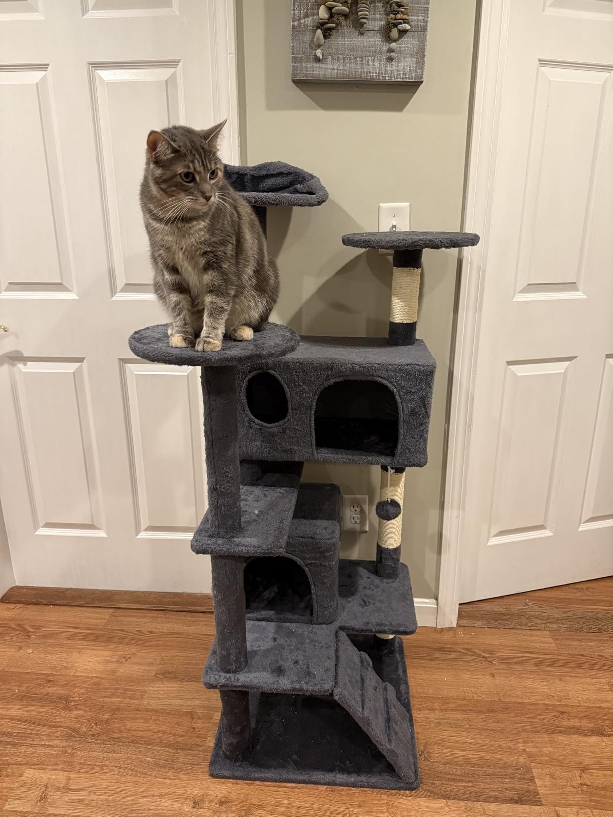 Yaheetech 54in Cat Tree. Multi-Level Cat Tower with Spacious Kitten-ear Perch. 2 Cozy Caves. Scratching Posts. Climbing Ladder. 2 Plush Balls. Durable Pet House Furniture for Indoor Kittens. Dark Gray photo review