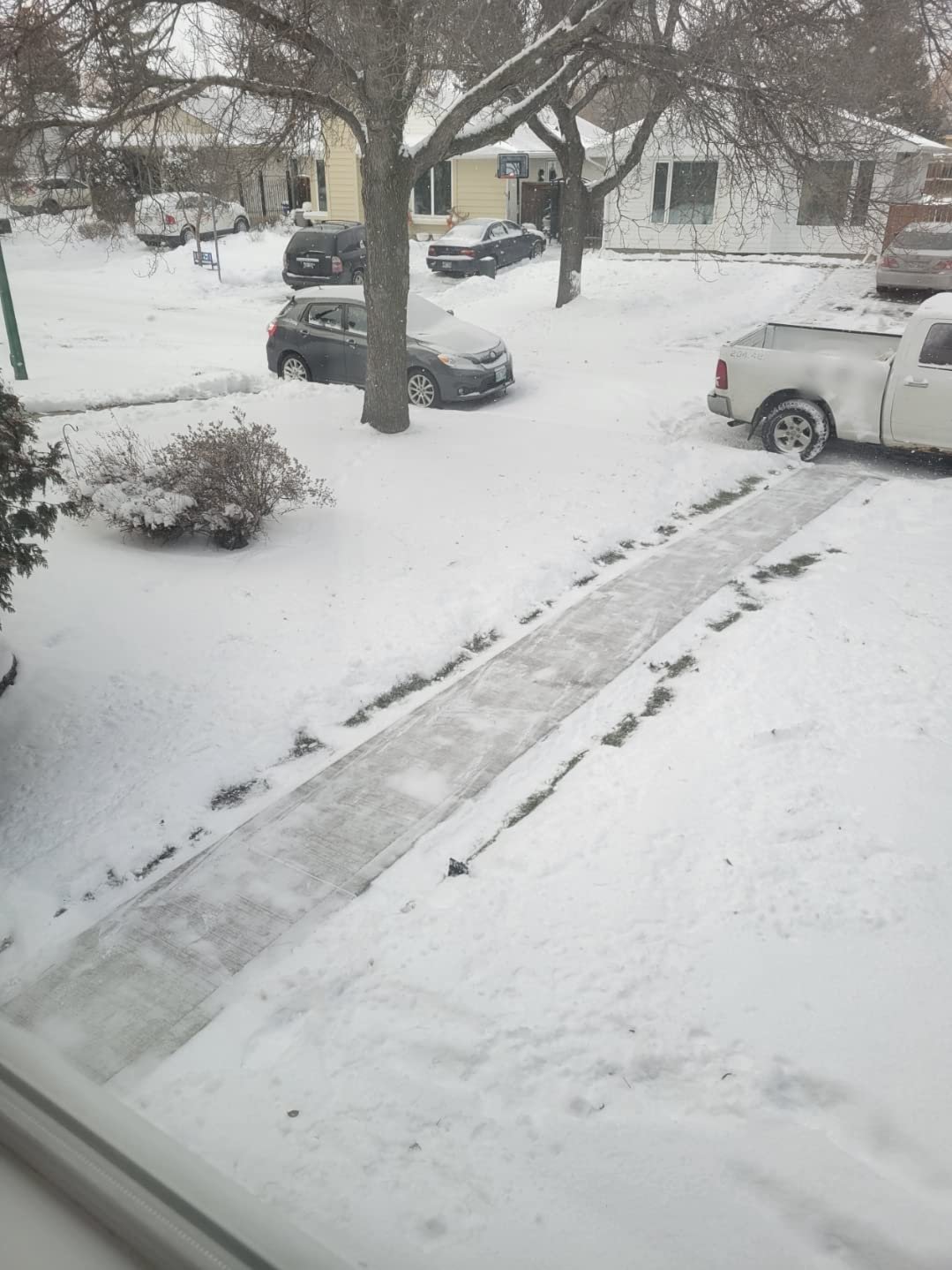 Greenworks 8 Amp 12-Inch Electric Corded Snow Shovel. 20ft Throwing Distance. 12 Wide & 6 Deep Clearing. 300Lbs/Min Snow Thrower Blower Removal Tool for Patio/Driveway/Steps/Sidewalk/Winter Storm photo review