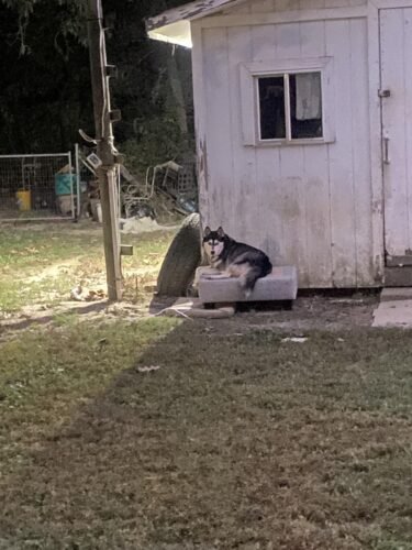 Tuffenough Solar Outdoor Lights 2500LM 210 LED Security Lights with Remote Control.3 Heads Motion Sensor Lights. IP65 Waterproof.270° Wide Angle Flood Wall Lights with 3 Modes(2 Packs) photo review