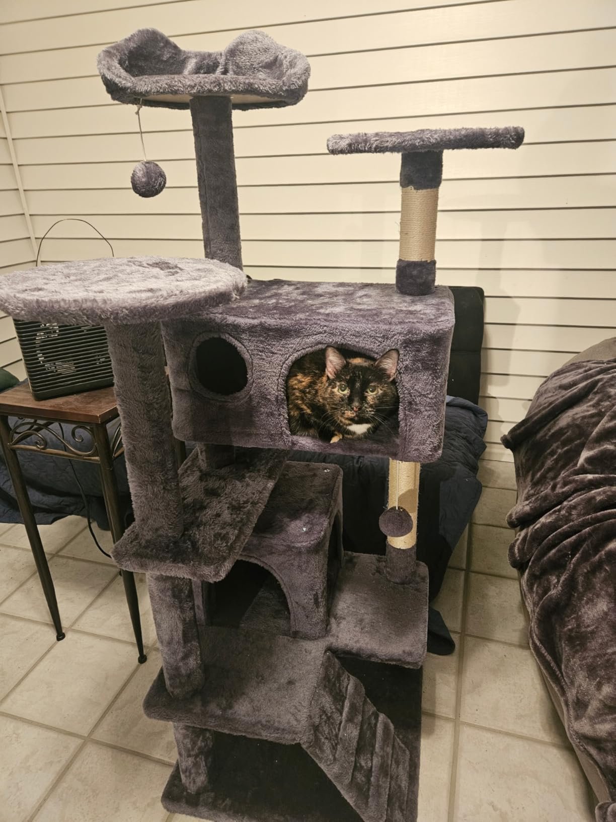 Yaheetech 54in Cat Tree. Multi-Level Cat Tower with Spacious Kitten-ear Perch. 2 Cozy Caves. Scratching Posts. Climbing Ladder. 2 Plush Balls. Durable Pet House Furniture for Indoor Kittens. Dark Gray photo review