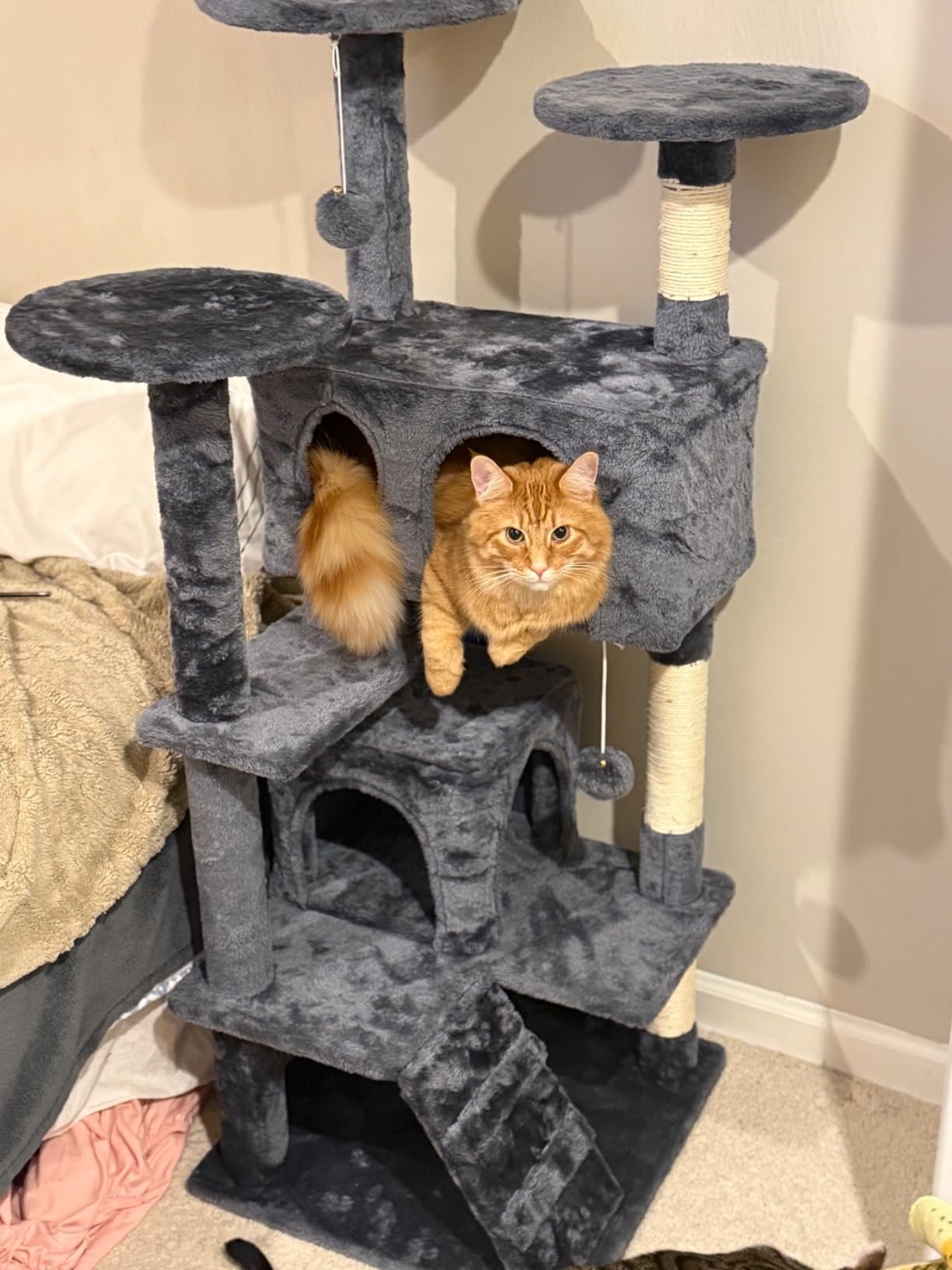 Yaheetech 54in Cat Tree. Multi-Level Cat Tower with Spacious Kitten-ear Perch. 2 Cozy Caves. Scratching Posts. Climbing Ladder. 2 Plush Balls. Durable Pet House Furniture for Indoor Kittens. Dark Gray photo review
