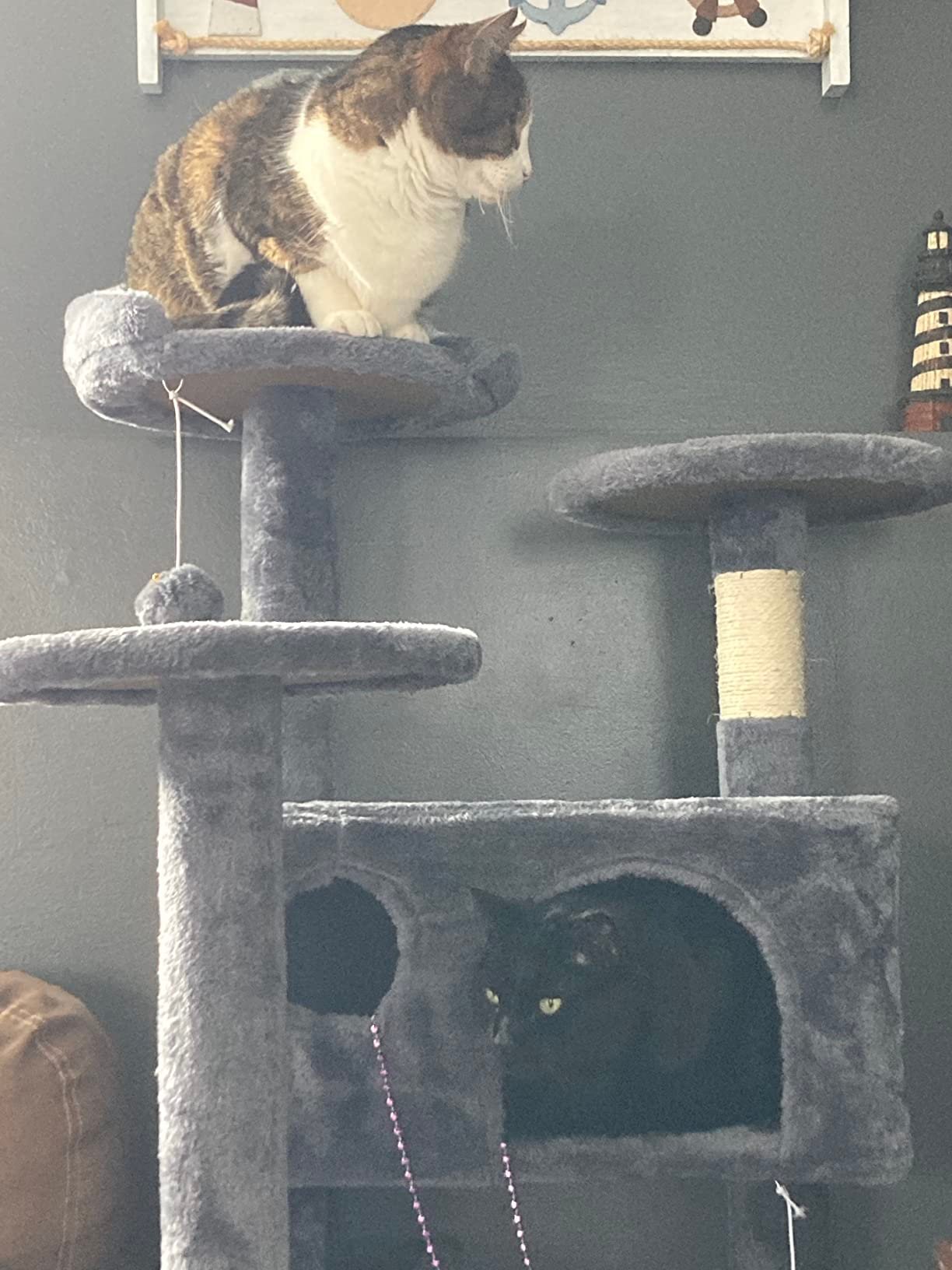 Yaheetech 54in Cat Tree. Multi-Level Cat Tower with Spacious Kitten-ear Perch. 2 Cozy Caves. Scratching Posts. Climbing Ladder. 2 Plush Balls. Durable Pet House Furniture for Indoor Kittens. Dark Gray photo review