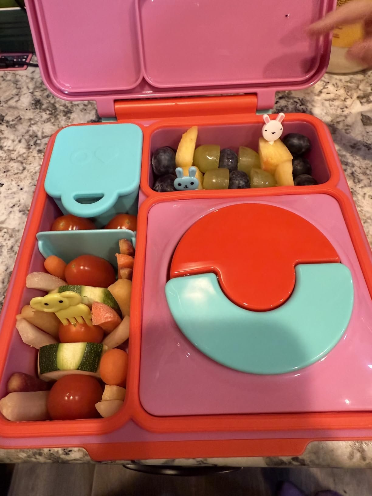 Omie OmieBox Bento Box for Kids - Insulated Lunch Box with Leak Proof Food Jar - 3 Compartments. 2 Temperature Zones - (Meadow) photo review