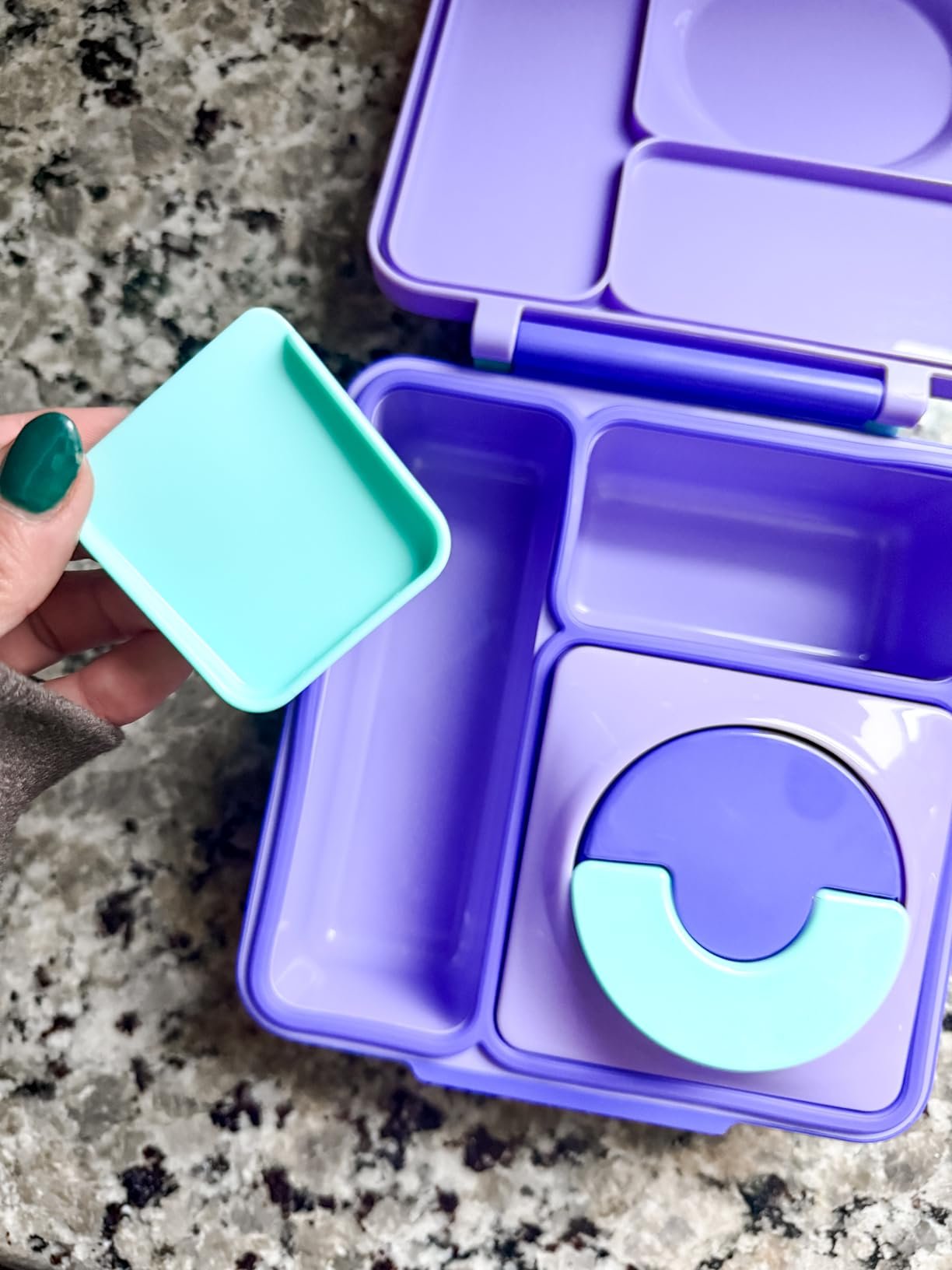 Omie OmieBox Bento Box for Kids - Insulated Lunch Box with Leak Proof Food Jar - 3 Compartments. 2 Temperature Zones - (Meadow) photo review