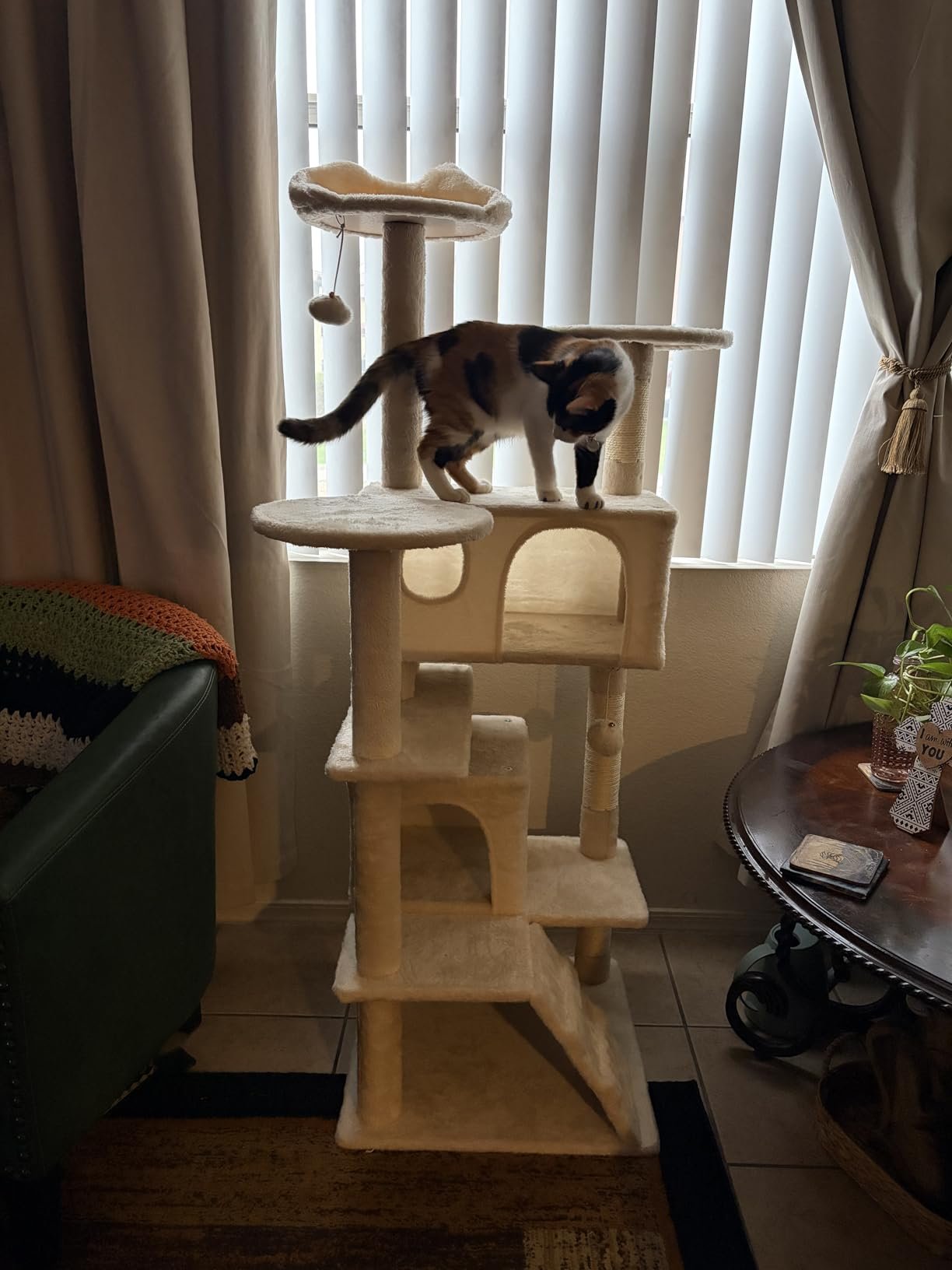 Yaheetech 54in Cat Tree. Multi-Level Cat Tower with Spacious Kitten-ear Perch. 2 Cozy Caves. Scratching Posts. Climbing Ladder. 2 Plush Balls. Durable Pet House Furniture for Indoor Kittens. Dark Gray photo review