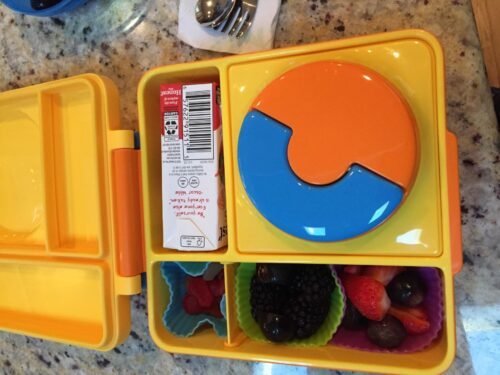 Omie OmieBox Bento Box for Kids - Insulated Lunch Box with Leak Proof Food Jar - 3 Compartments. 2 Temperature Zones - (Meadow) photo review