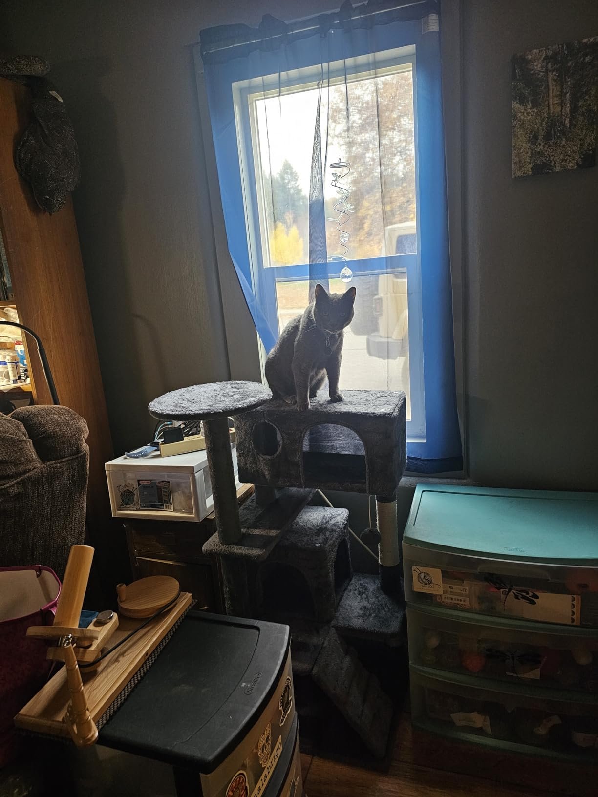 Yaheetech 54in Cat Tree. Multi-Level Cat Tower with Spacious Kitten-ear Perch. 2 Cozy Caves. Scratching Posts. Climbing Ladder. 2 Plush Balls. Durable Pet House Furniture for Indoor Kittens. Dark Gray photo review