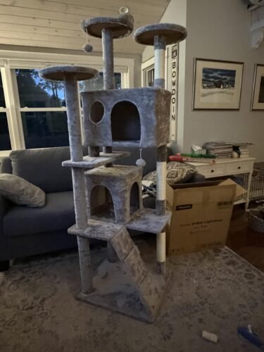 Yaheetech 54in Cat Tree. Multi-Level Cat Tower with Spacious Kitten-ear Perch. 2 Cozy Caves. Scratching Posts. Climbing Ladder. 2 Plush Balls. Durable Pet House Furniture for Indoor Kittens. Dark Gray photo review
