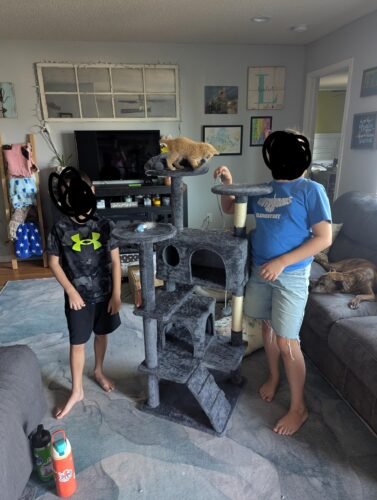 Yaheetech 54in Cat Tree. Multi-Level Cat Tower with Spacious Kitten-ear Perch. 2 Cozy Caves. Scratching Posts. Climbing Ladder. 2 Plush Balls. Durable Pet House Furniture for Indoor Kittens. Dark Gray photo review