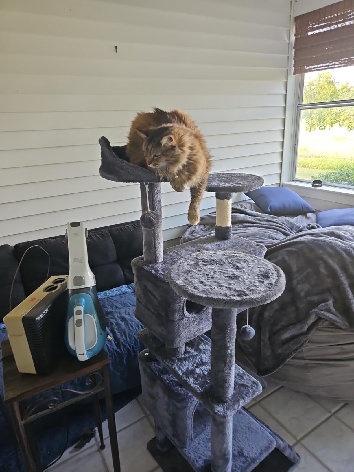 Yaheetech 54in Cat Tree. Multi-Level Cat Tower with Spacious Kitten-ear Perch. 2 Cozy Caves. Scratching Posts. Climbing Ladder. 2 Plush Balls. Durable Pet House Furniture for Indoor Kittens. Dark Gray photo review