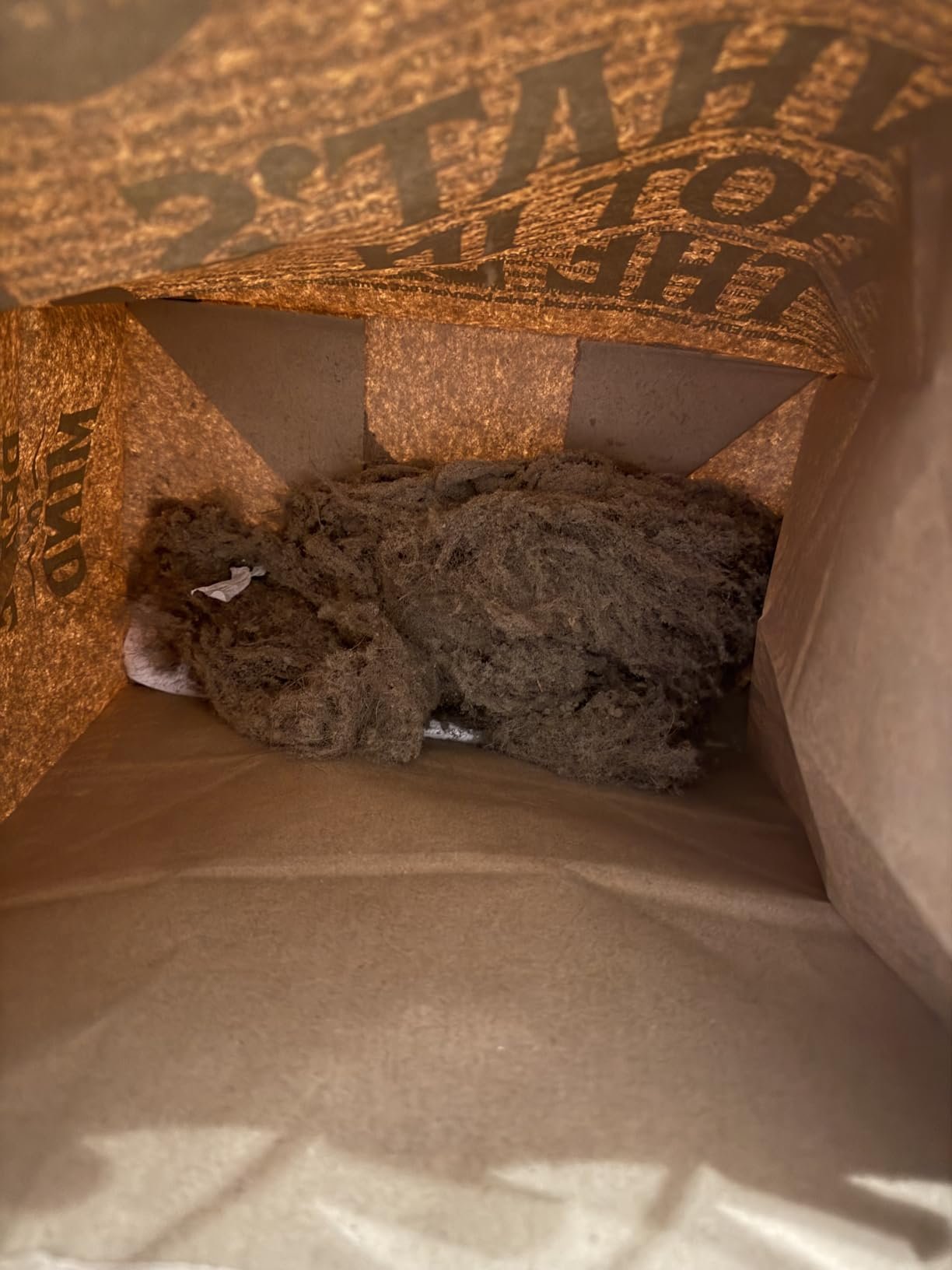 Shark Upright Vacuum. Navigator Lift-Away Deluxe with Large Dust Cup Capacity. HEPA Filter. Swivel Steering. Upholstery Tool & Crevice Tool. Blue. NV360 photo review