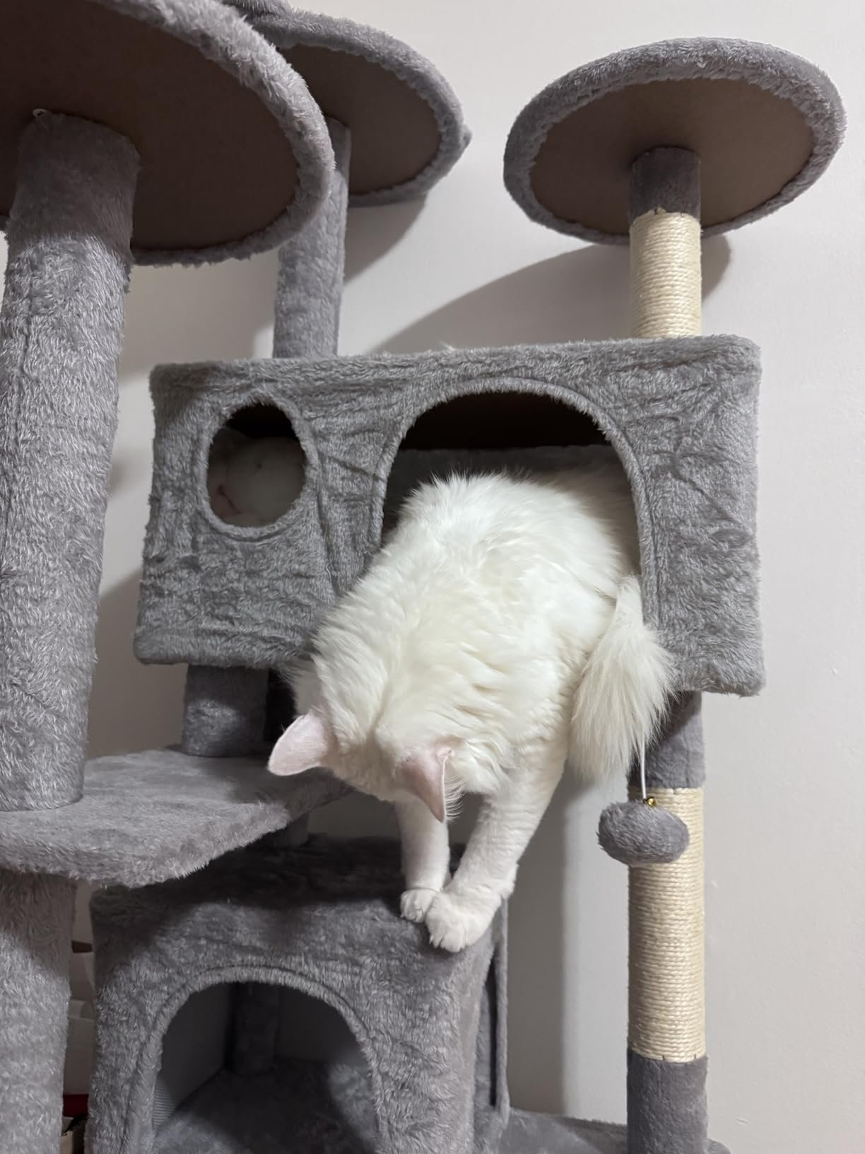 Yaheetech 54in Cat Tree. Multi-Level Cat Tower with Spacious Kitten-ear Perch. 2 Cozy Caves. Scratching Posts. Climbing Ladder. 2 Plush Balls. Durable Pet House Furniture for Indoor Kittens. Dark Gray photo review