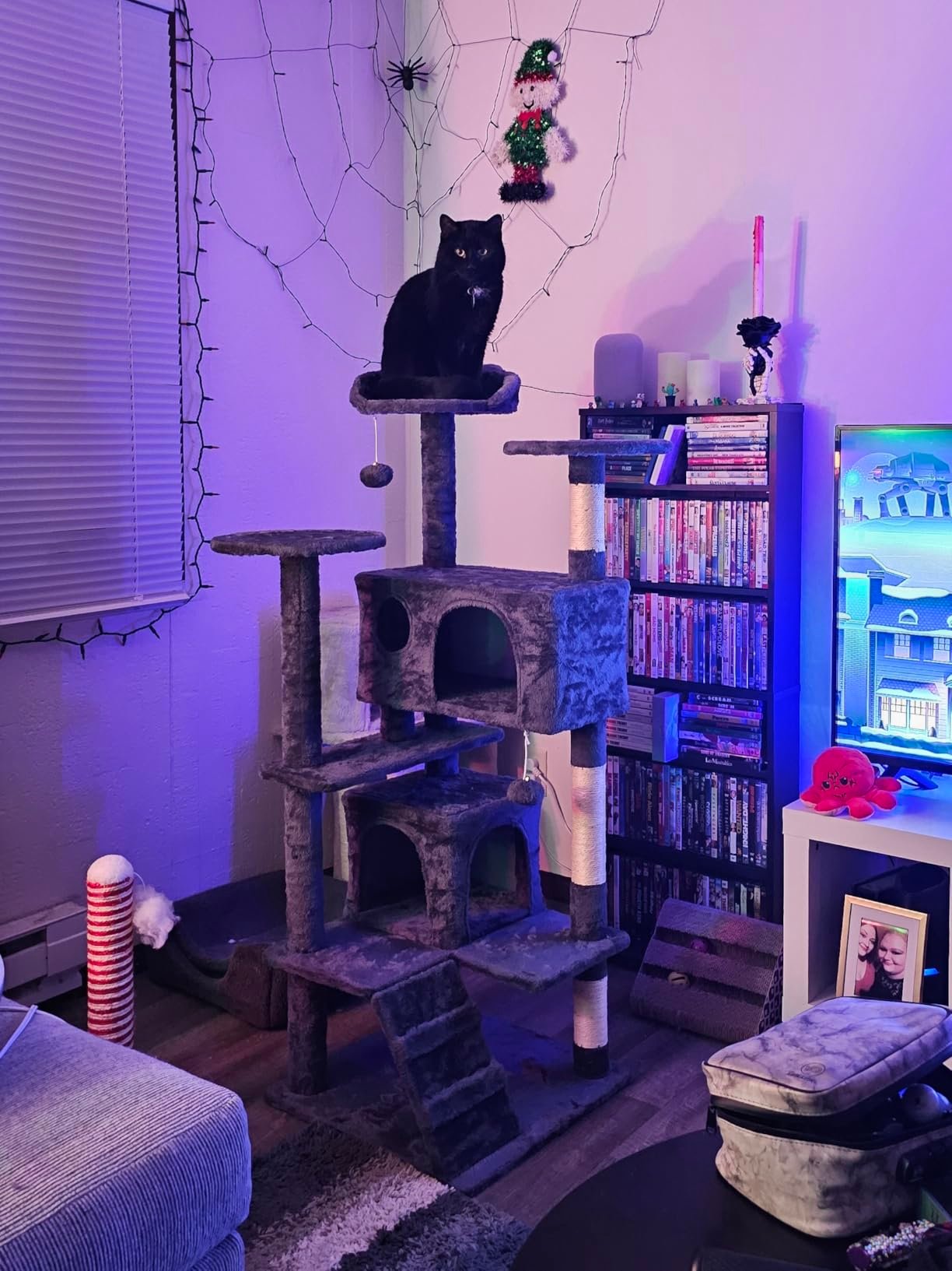 Yaheetech 54in Cat Tree. Multi-Level Cat Tower with Spacious Kitten-ear Perch. 2 Cozy Caves. Scratching Posts. Climbing Ladder. 2 Plush Balls. Durable Pet House Furniture for Indoor Kittens. Dark Gray photo review