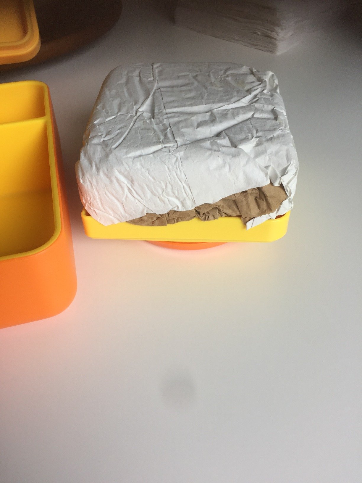 Omie OmieBox Bento Box for Kids - Insulated Lunch Box with Leak Proof Food Jar - 3 Compartments. 2 Temperature Zones - (Meadow) photo review