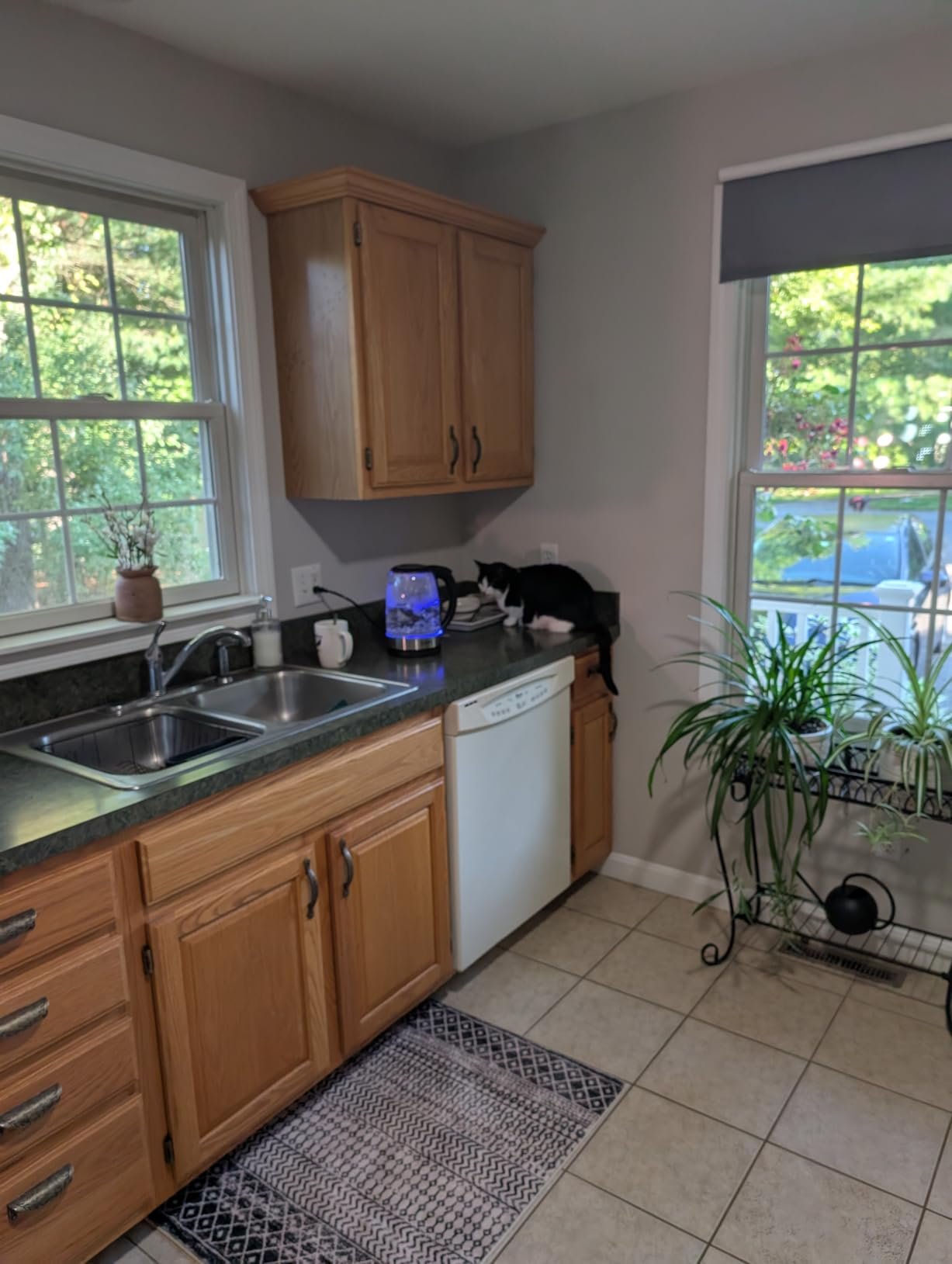 Cosori Electric Kettle. No Plastic Contact With Water. Wide Mouth For Easy Cleaning. Auto Shut Off. 1.7L Tea Kettle & Hot Water Boiler. Water Heater & Teapot. Borosilicate Glass. Black. 1500W photo review