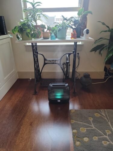Dreo Smart Humidifiers for Bedroom. Top Fill 4L Supersized Humidifier Large Room with 28 dB. 36H Runtime. Touch/APP/Voice Control. Nightlight. Cool Mist Humidifiers for Baby. Plants. Indoor. Black photo review