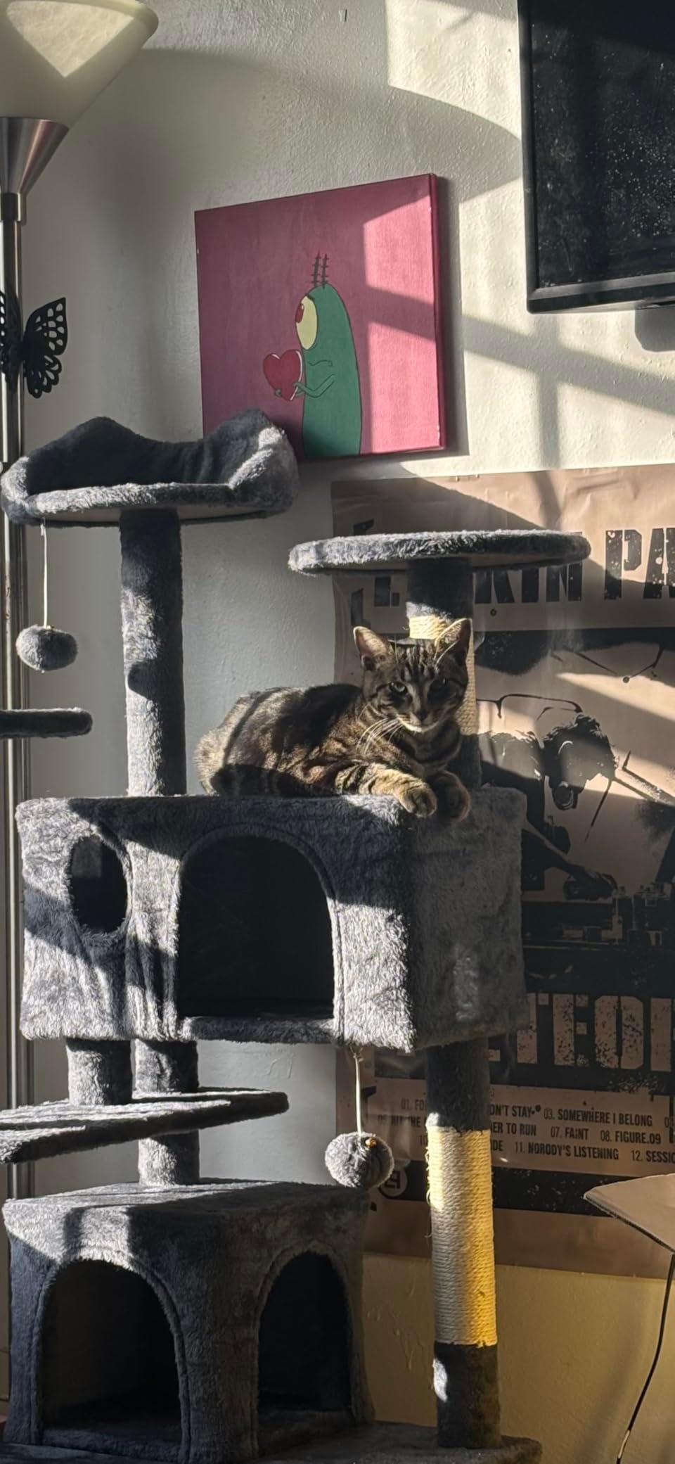 Yaheetech 54in Cat Tree. Multi-Level Cat Tower with Spacious Kitten-ear Perch. 2 Cozy Caves. Scratching Posts. Climbing Ladder. 2 Plush Balls. Durable Pet House Furniture for Indoor Kittens. Dark Gray photo review