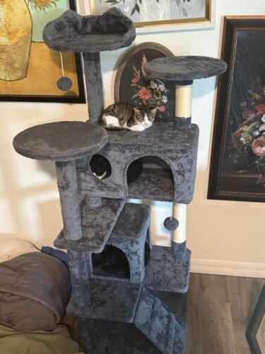 Yaheetech 54in Cat Tree. Multi-Level Cat Tower with Spacious Kitten-ear Perch. 2 Cozy Caves. Scratching Posts. Climbing Ladder. 2 Plush Balls. Durable Pet House Furniture for Indoor Kittens. Dark Gray photo review