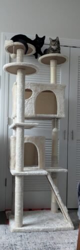 Yaheetech 54in Cat Tree. Multi-Level Cat Tower with Spacious Kitten-ear Perch. 2 Cozy Caves. Scratching Posts. Climbing Ladder. 2 Plush Balls. Durable Pet House Furniture for Indoor Kittens. Dark Gray photo review