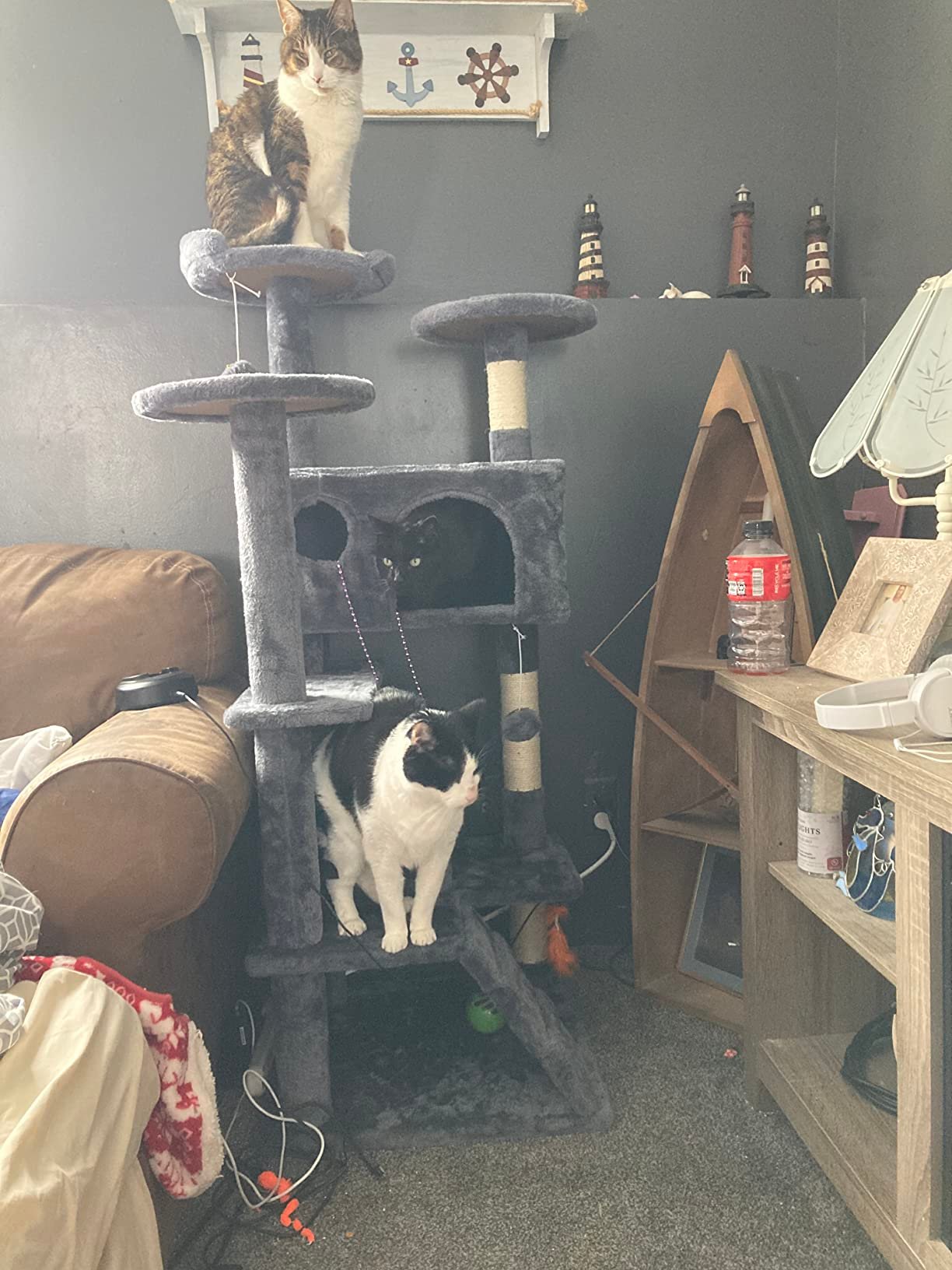 Yaheetech 54in Cat Tree. Multi-Level Cat Tower with Spacious Kitten-ear Perch. 2 Cozy Caves. Scratching Posts. Climbing Ladder. 2 Plush Balls. Durable Pet House Furniture for Indoor Kittens. Dark Gray photo review