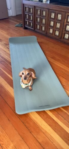 Retrospec Solana Yoga Mat 1 Thick w/Nylon Strap for Men & Women - Non Slip Exercise Mat for Home Yoga. Pilates. Stretching. Floor & Fitness Workouts photo review