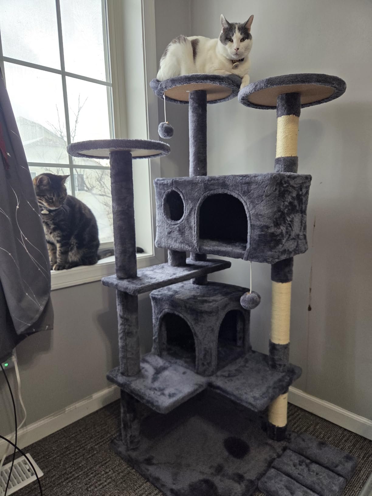Yaheetech 54in Cat Tree. Multi-Level Cat Tower with Spacious Kitten-ear Perch. 2 Cozy Caves. Scratching Posts. Climbing Ladder. 2 Plush Balls. Durable Pet House Furniture for Indoor Kittens. Dark Gray photo review