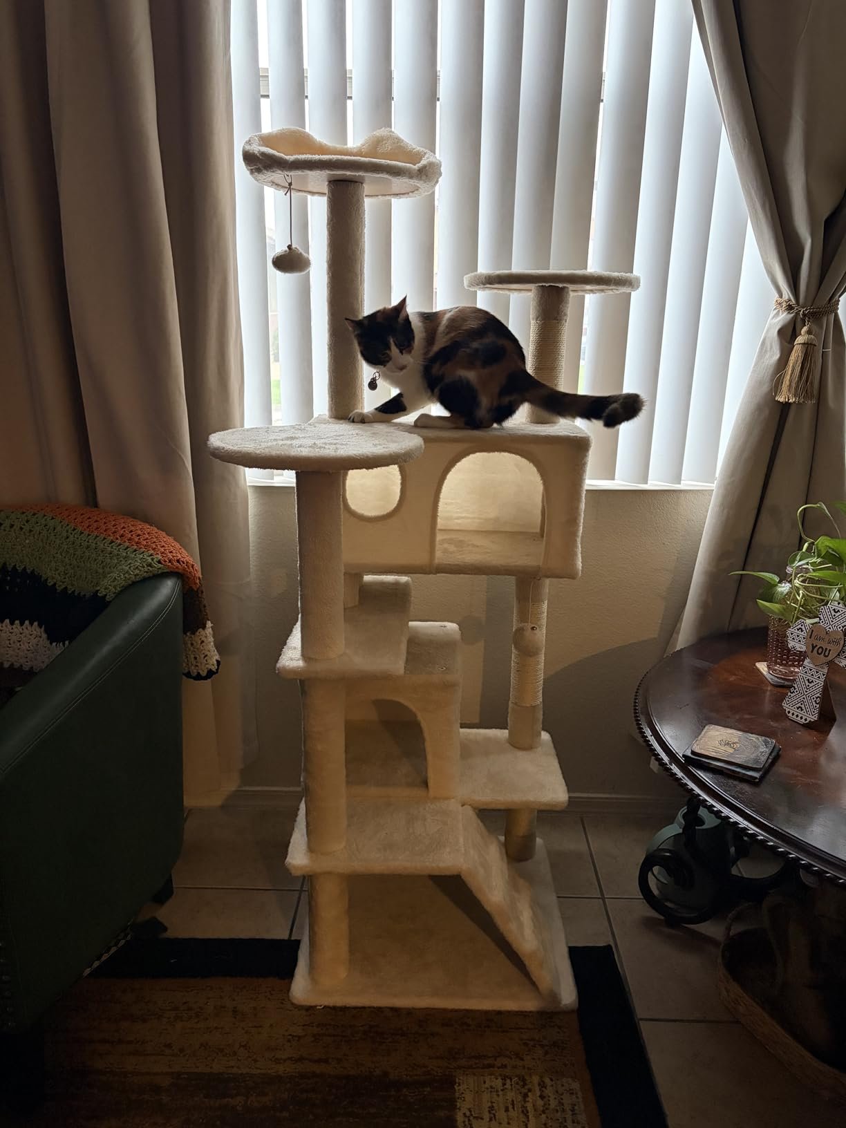 Yaheetech 54in Cat Tree. Multi-Level Cat Tower with Spacious Kitten-ear Perch. 2 Cozy Caves. Scratching Posts. Climbing Ladder. 2 Plush Balls. Durable Pet House Furniture for Indoor Kittens. Dark Gray photo review