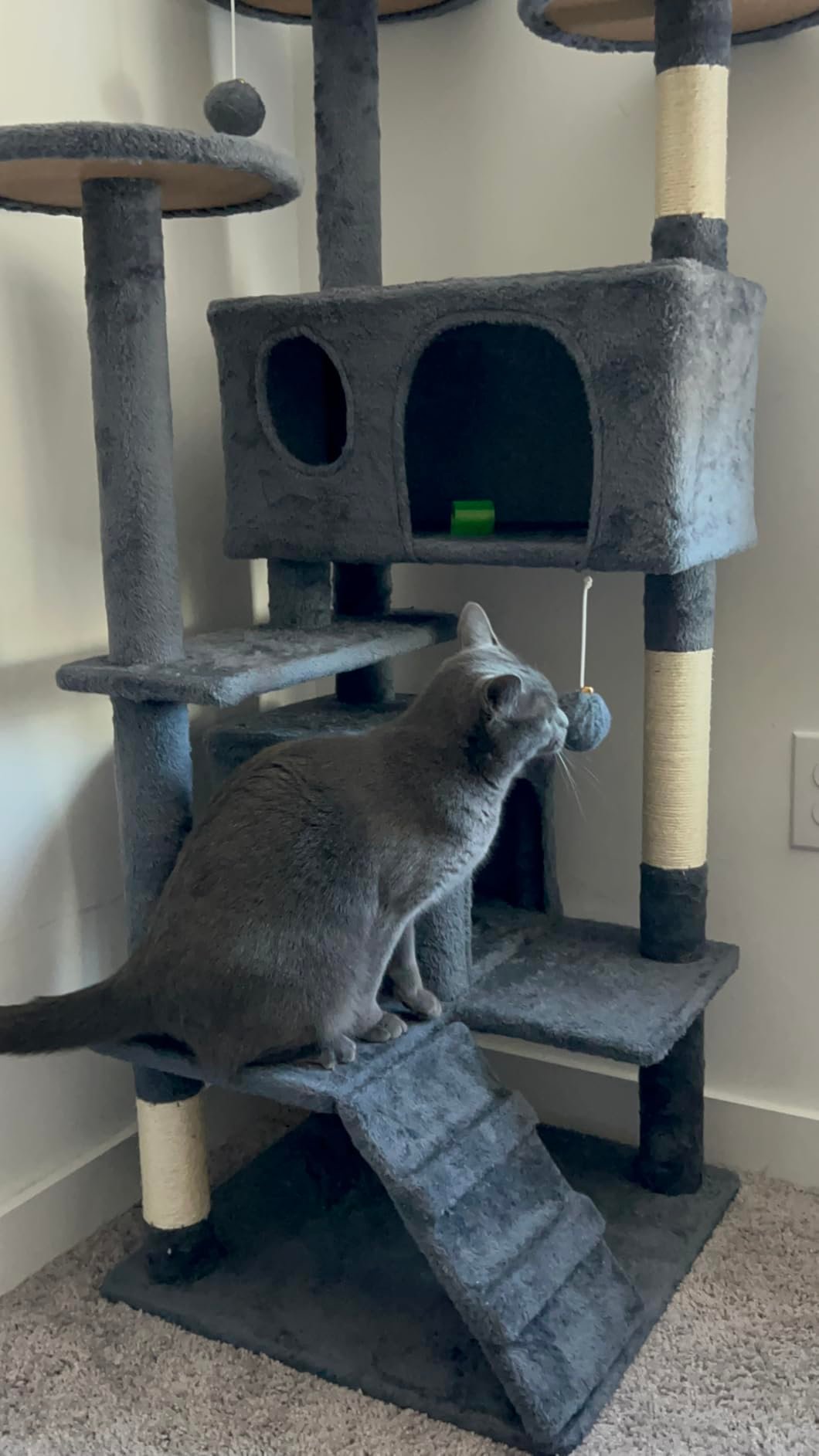 Yaheetech 54in Cat Tree. Multi-Level Cat Tower with Spacious Kitten-ear Perch. 2 Cozy Caves. Scratching Posts. Climbing Ladder. 2 Plush Balls. Durable Pet House Furniture for Indoor Kittens. Dark Gray photo review