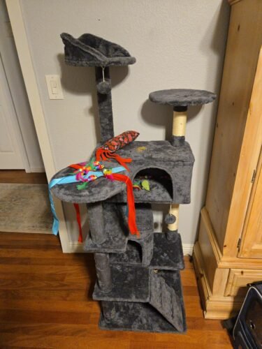 Yaheetech 54in Cat Tree. Multi-Level Cat Tower with Spacious Kitten-ear Perch. 2 Cozy Caves. Scratching Posts. Climbing Ladder. 2 Plush Balls. Durable Pet House Furniture for Indoor Kittens. Dark Gray photo review