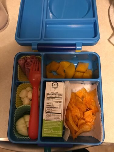 Omie OmieBox Bento Box for Kids - Insulated Lunch Box with Leak Proof Food Jar - 3 Compartments. 2 Temperature Zones - (Meadow) photo review