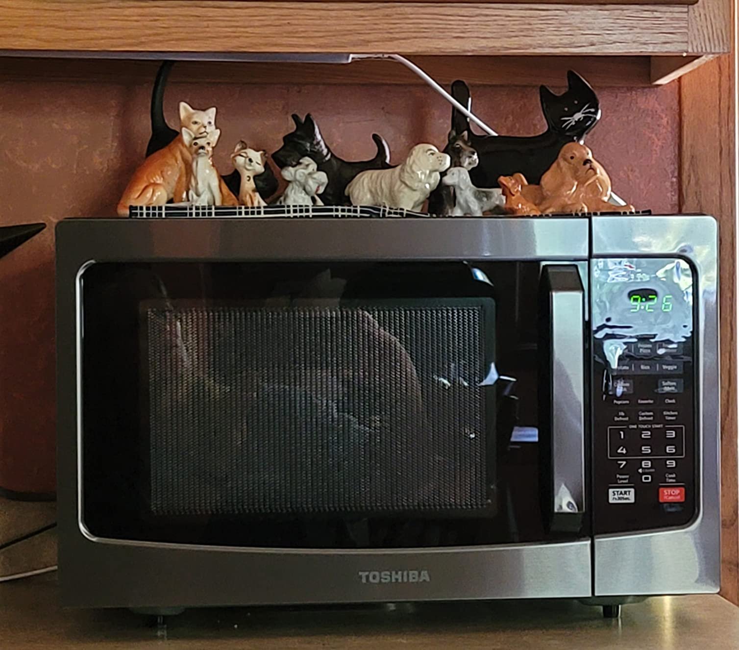 TOSHIBA EM131A5C-BS Countertop Microwave Ovens 1.2 Cu Ft. 12.4 Removable Turntable Smart Humidity Sensor 12 Auto Menus Mute Function ECO Mode Easy Clean Interior Black Color 1000W photo review