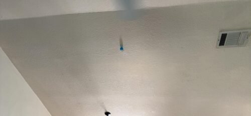 Glow in The Dark Sticky Balls That Stick to The Ceiling.Stress Balls for Kids and Adults.Glowing Sticky Balls.ASMR Cool Stuff for Teens.Elevated Balls.Ceiling Balls.Lumi Balls.Stocking Stuffers(4Pcs) photo review