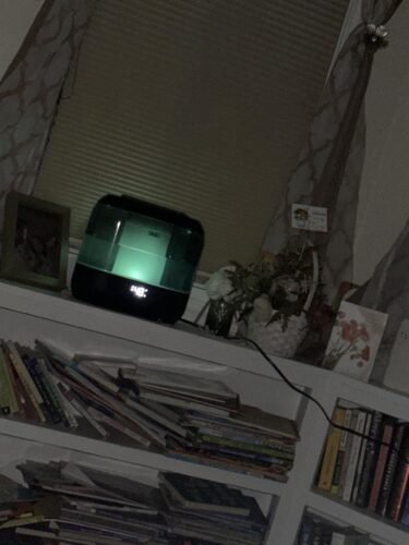 Dreo Smart Humidifiers for Bedroom. Top Fill 4L Supersized Humidifier Large Room with 28 dB. 36H Runtime. Touch/APP/Voice Control. Nightlight. Cool Mist Humidifiers for Baby. Plants. Indoor. Black photo review