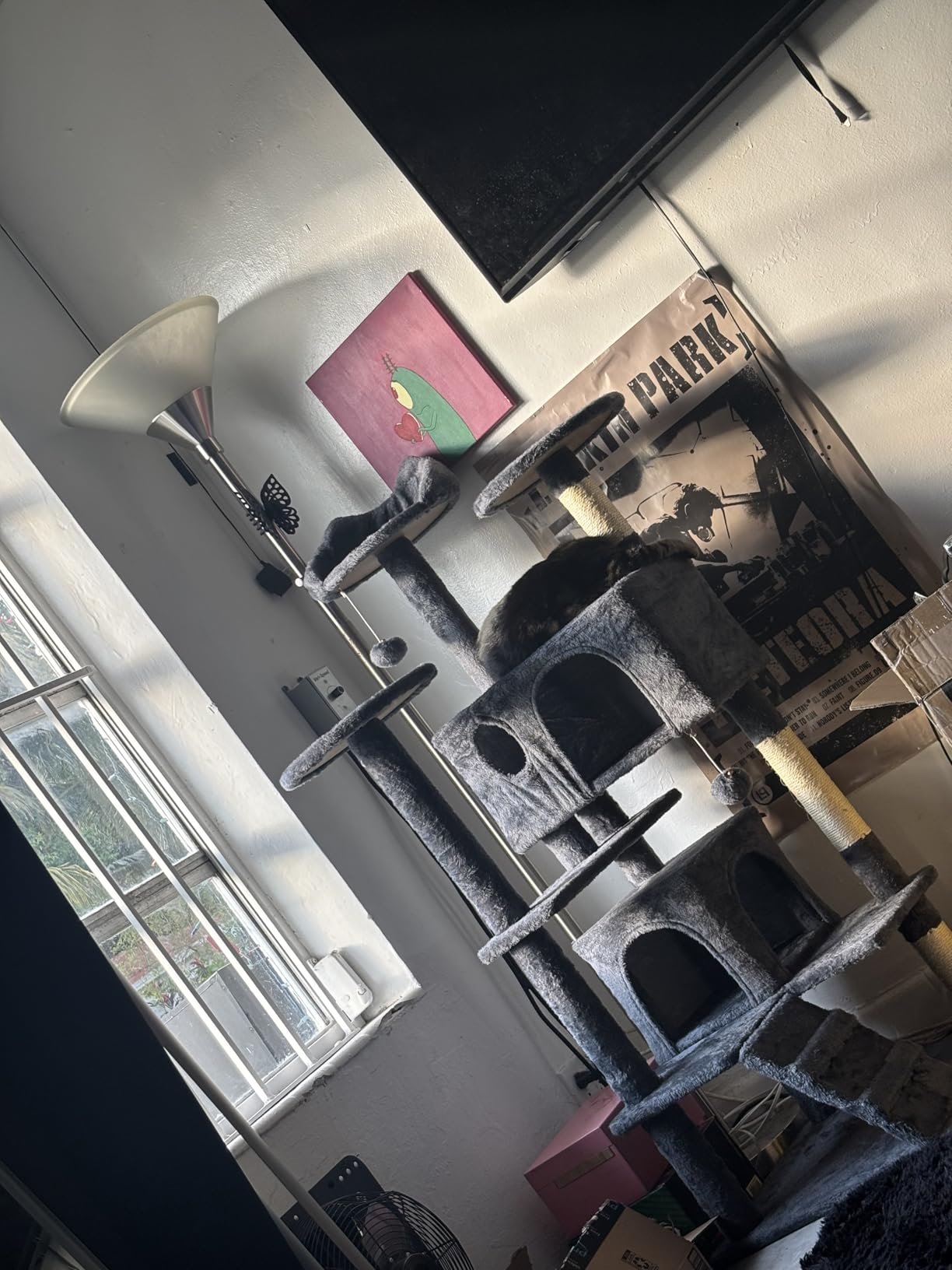 Yaheetech 54in Cat Tree. Multi-Level Cat Tower with Spacious Kitten-ear Perch. 2 Cozy Caves. Scratching Posts. Climbing Ladder. 2 Plush Balls. Durable Pet House Furniture for Indoor Kittens. Dark Gray photo review