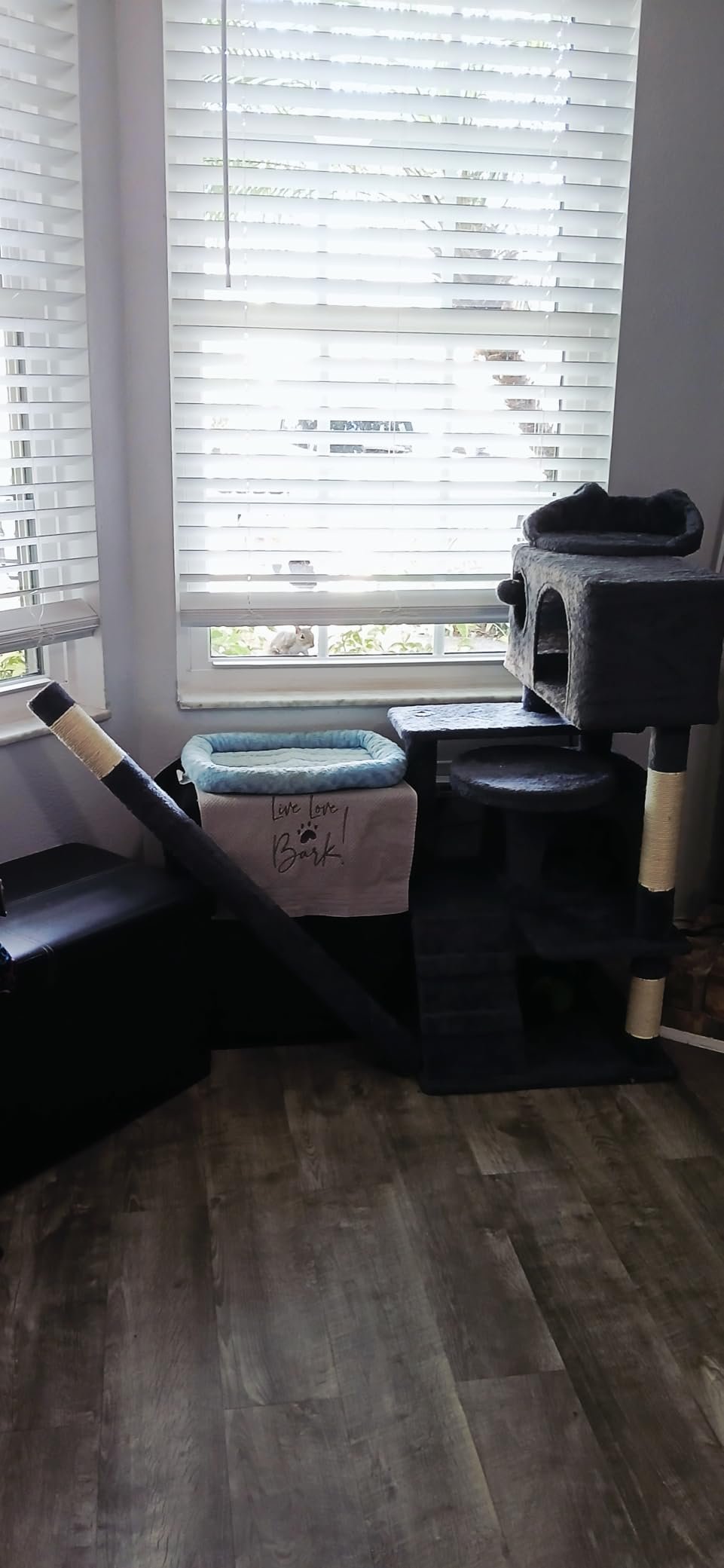 Yaheetech 54in Cat Tree. Multi-Level Cat Tower with Spacious Kitten-ear Perch. 2 Cozy Caves. Scratching Posts. Climbing Ladder. 2 Plush Balls. Durable Pet House Furniture for Indoor Kittens. Dark Gray photo review