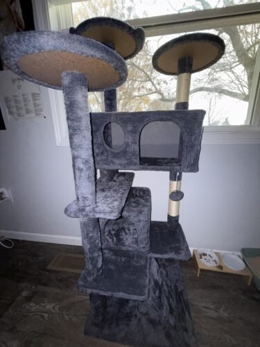 Yaheetech 54in Cat Tree. Multi-Level Cat Tower with Spacious Kitten-ear Perch. 2 Cozy Caves. Scratching Posts. Climbing Ladder. 2 Plush Balls. Durable Pet House Furniture for Indoor Kittens. Dark Gray photo review