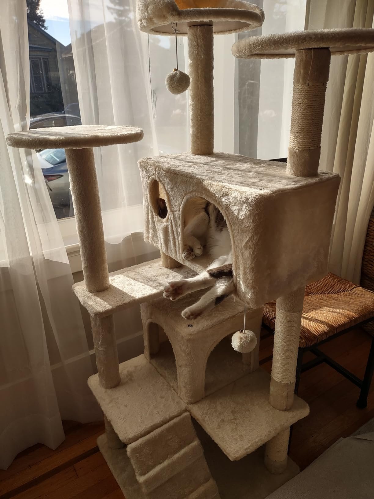 Yaheetech 54in Cat Tree. Multi-Level Cat Tower with Spacious Kitten-ear Perch. 2 Cozy Caves. Scratching Posts. Climbing Ladder. 2 Plush Balls. Durable Pet House Furniture for Indoor Kittens. Dark Gray photo review