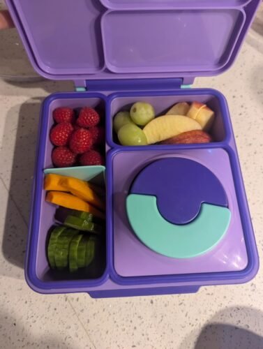 Omie OmieBox Bento Box for Kids - Insulated Lunch Box with Leak Proof Food Jar - 3 Compartments. 2 Temperature Zones - (Meadow) photo review