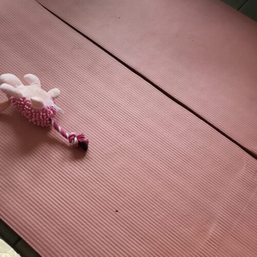 Retrospec Solana Yoga Mat 1 Thick w/Nylon Strap for Men & Women - Non Slip Exercise Mat for Home Yoga. Pilates. Stretching. Floor & Fitness Workouts photo review