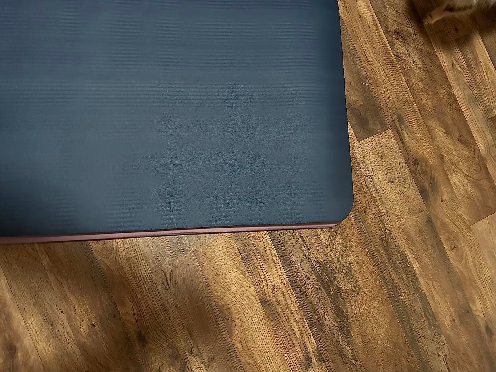 Retrospec Solana Yoga Mat 1 Thick w/Nylon Strap for Men & Women - Non Slip Exercise Mat for Home Yoga. Pilates. Stretching. Floor & Fitness Workouts photo review