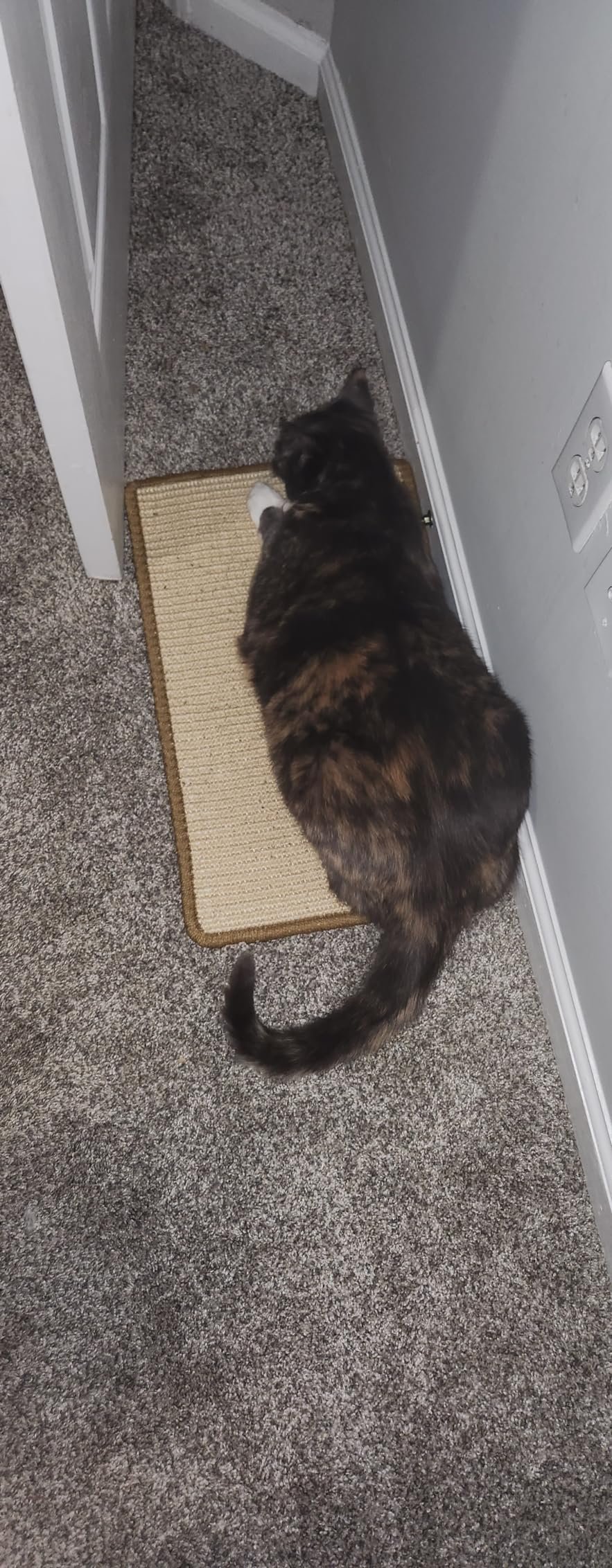 FUKUMARU Cat Scratcher Mat. 23.6 X 15.7 Inch Natural Sisal Cat Scratch Mats. Horizontal Cat Floor Scratching Pad Rug with Sticky Tapes. Protect Couch and Carpets photo review