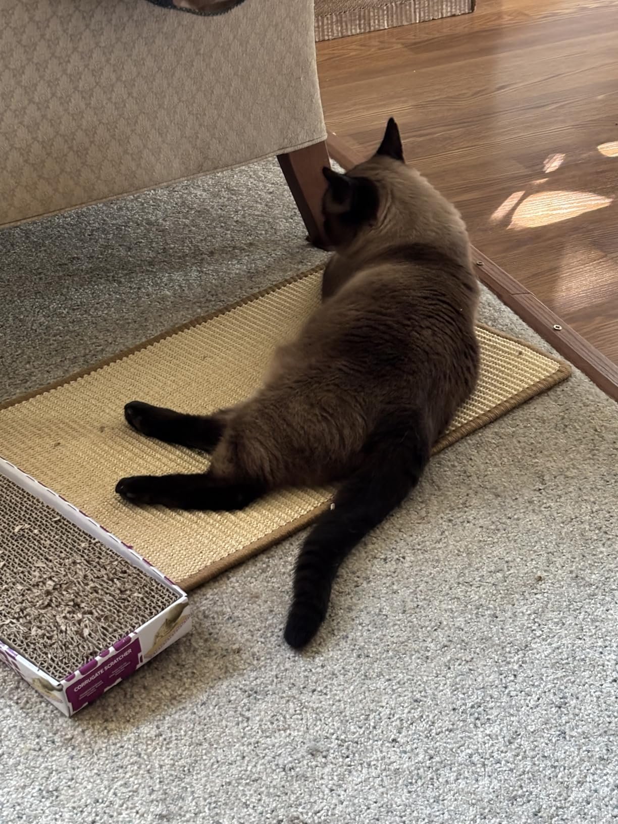 FUKUMARU Cat Scratcher Mat. 23.6 X 15.7 Inch Natural Sisal Cat Scratch Mats. Horizontal Cat Floor Scratching Pad Rug with Sticky Tapes. Protect Couch and Carpets photo review