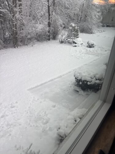 Greenworks 8 Amp 12-Inch Electric Corded Snow Shovel. 20ft Throwing Distance. 12 Wide & 6 Deep Clearing. 300Lbs/Min Snow Thrower Blower Removal Tool for Patio/Driveway/Steps/Sidewalk/Winter Storm photo review